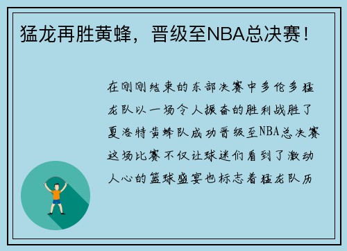 猛龙再胜黄蜂，晋级至NBA总决赛！